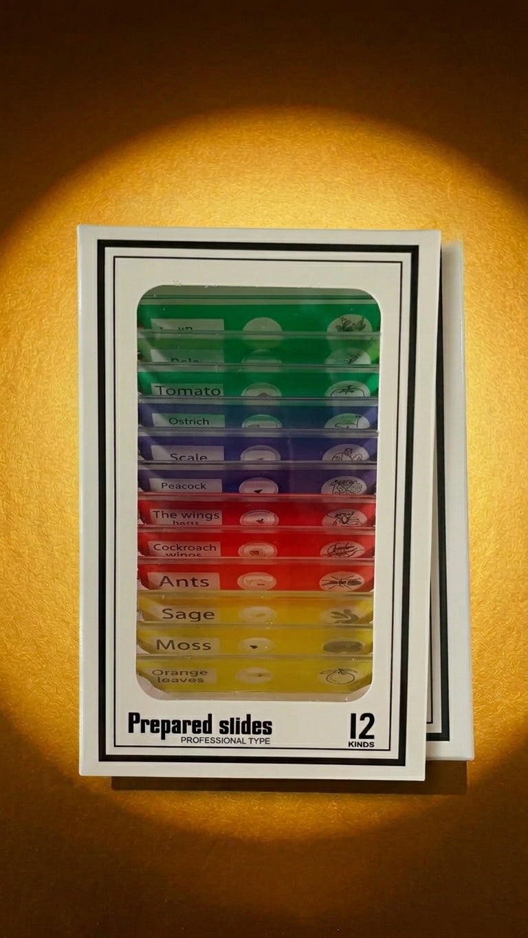 Rising Kid™ Prepared Specimen Slides Set