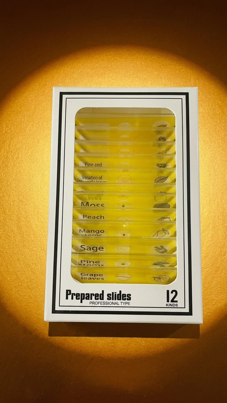 Rising Kid™ Prepared Specimen Slides Set