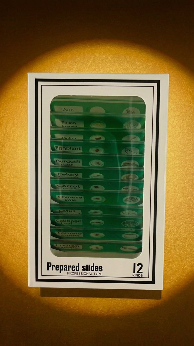 Rising Kid™ Prepared Specimen Slides Set