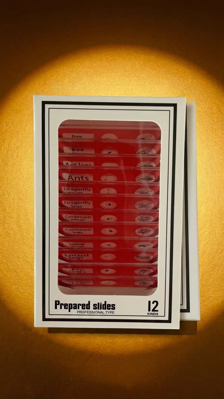 Rising Kid™ Prepared Specimen Slides Set